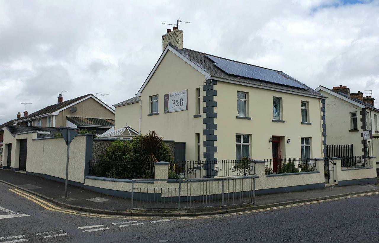 Rose Park House Bed & Breakfast Londonderry Exterior photo